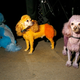 Image for article titled New York Fashion Week: The Best Of Backstage